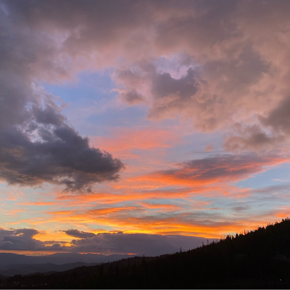 Meet your Posher, Maya